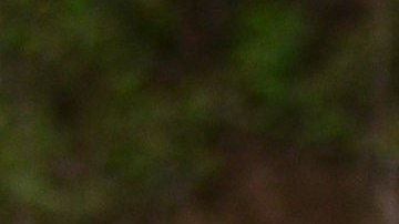 Más de 3,000 fragmentos óseos fueron localizados. /EFE