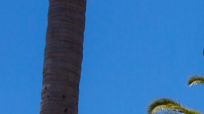 Sede de California State University en San Diego