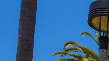 Sede de California State University en San Diego