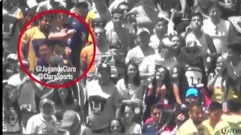 Un aficionado de Pumas arrojó un vaso con cerveza a Cecilio Domínguez.