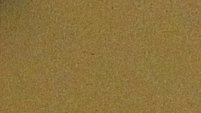 El padre Alejandro Solalinde.