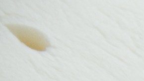 La almohada de espuma de látex son ideales para quienes sufren de alergias, dolores de cuello o de cabeza.