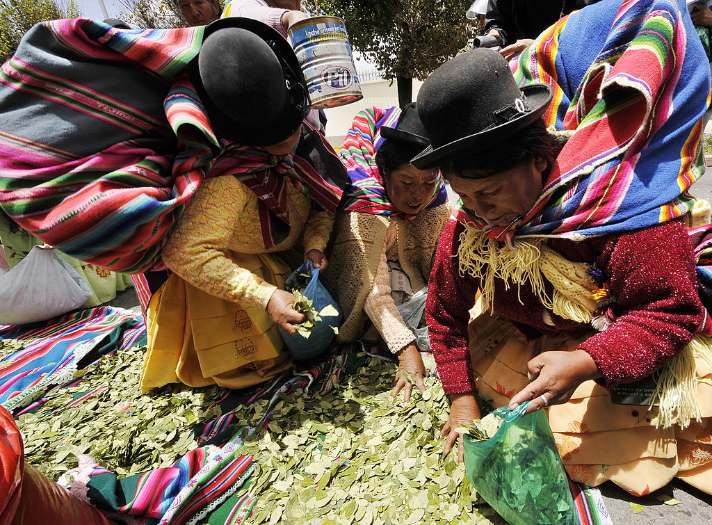 Se estima que existen 20.200 hectáreas de coca en Bolivia.