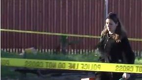 Los restos fueron recuperados en el patio trasero de una residencia en Buena Park.