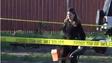 Los restos fueron recuperados en el patio trasero de una residencia en Buena Park.