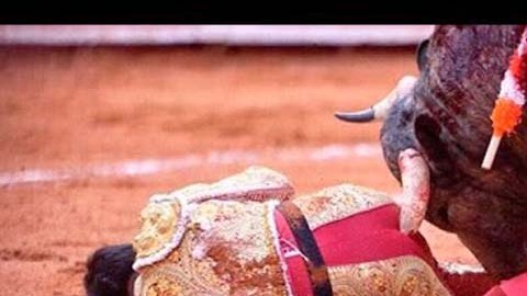 Momento en el que Antonio Romero fue embestido por el toro.
