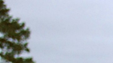 Kalel Langford con su diamante.