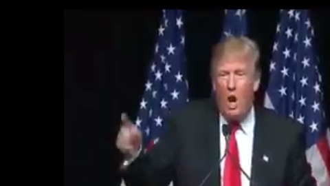 FireShot Capture 137 - Lmao... Who made this_ 😂🌮🌮🌮 Toled_ - https___www.facebook.com_officialc