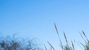 La cerca fronteriza en la frontera de EEUU y México termina bruscamente cerca del límite de la ciudad de Del Río, Texas.