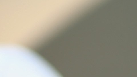 Ahora podrás seguir la MLS en tus dispositivos móviles.