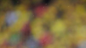 Eliminatorias Conmebol