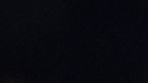 La novena de Estados Unidos celebra tras derrotar a Venezuela.