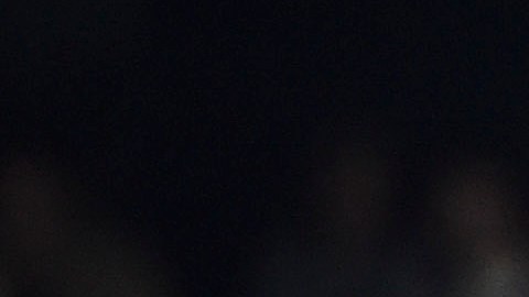 La novena de Estados Unidos celebra tras derrotar a Venezuela.