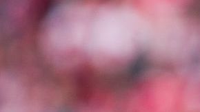 En Portugal protestan por la idea de que aeropuerto lleve nombre de CR7