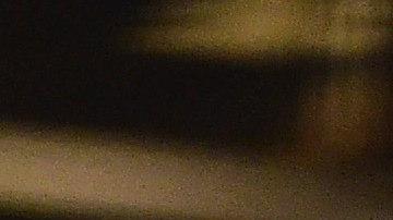 Jugadores boricuas festejan tras derrotar a Holanda en semifinales.