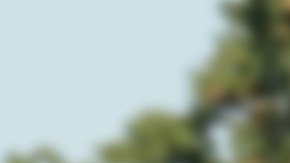 Un récord criminal puede ser el motivo para detener o deportar inmigrantes.