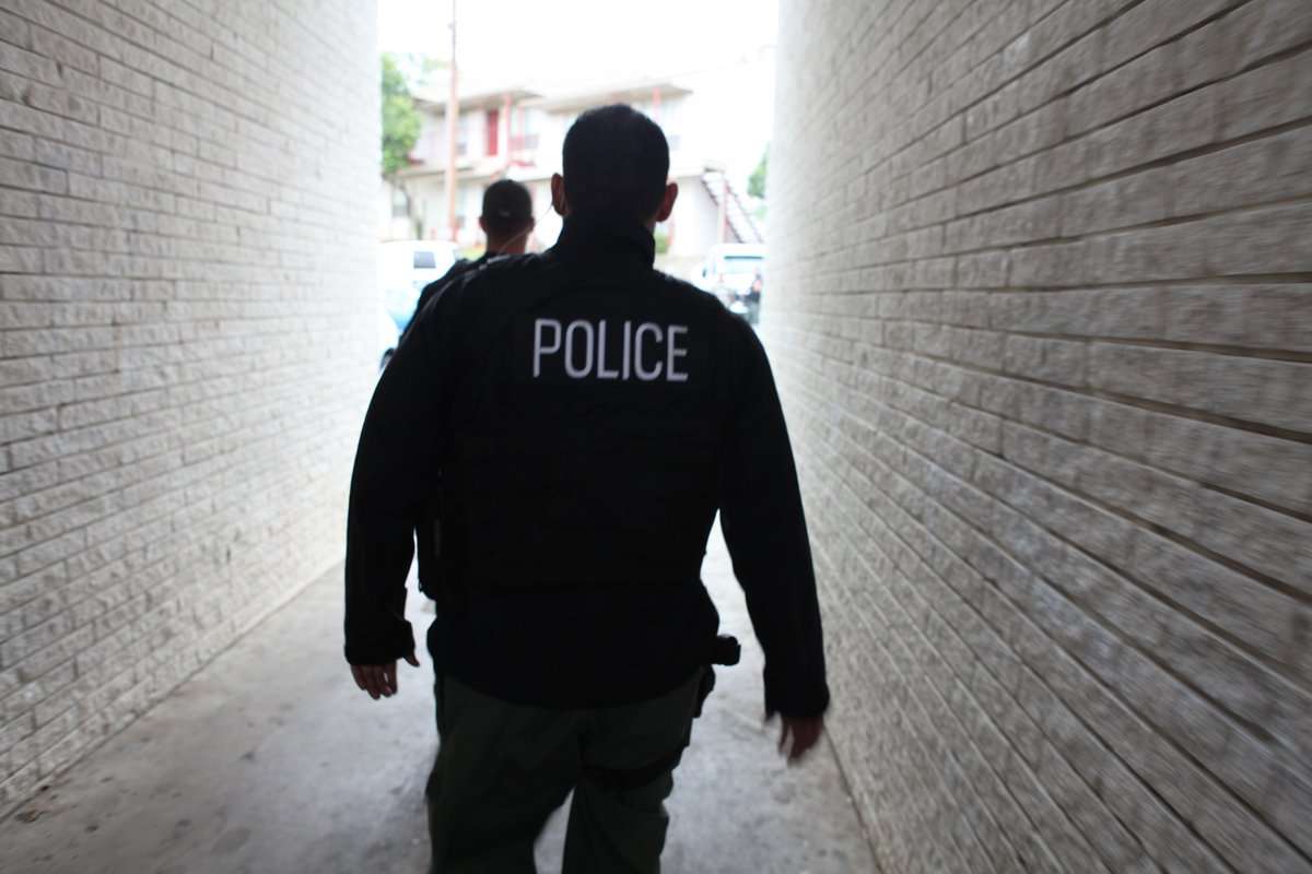 El curioso caso sucedió en el condado de Hays, Texas
