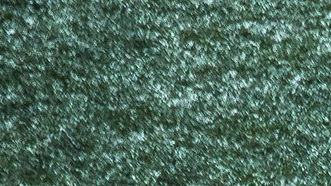 Imago-314183