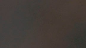 Andrés Guardado es la quinta baja del Tricolor