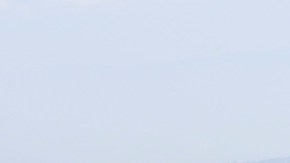 Pumas UNAM pide identificar al aficionado felino que agredió al jugador del América, Cecilio Domínguez