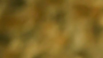 Osorio, DT del Tri, ensaya la alineación durante el entrenamiento de ayer en Cuernavaca.