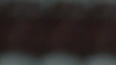 Osorio haría rotaciones importantes frente a Trinidad y Tobago