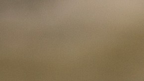 Médicamente se ha demostrado que las mascotas son beneficiosas para la salud física y mental.