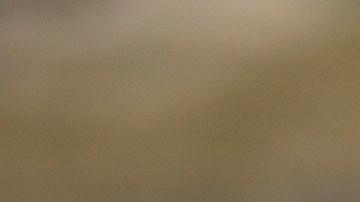 Médicamente se ha demostrado que las mascotas son beneficiosas para la salud física y mental.