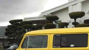 Los crímenes de odio son aquellos dirigidos a las víctimas por su mera identidad.