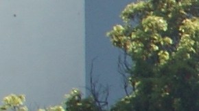 Manifestantes en Berkeley se pronunciaron en apoyo de los indocumentados. (Fernando A. Torres / La Opinión de la Bahía)