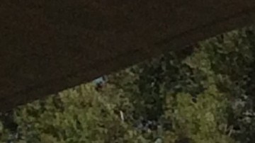 Miles de personas recorrieron ayer las calles del Valle de San Fernando en memoria del líder campesino César Chávez, en una manifestación que aparte de abogar por los derechos laborales también sirvió para mostrar un descontento con las acciones del presidente Donald Trump en contra de los indocumentados. /Francisco Castro