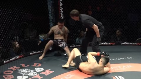 Peleadores de MMA se noquean entre sí