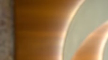 Muhammad Ali Jr. fue retenido en el aeropuerto e interrogado