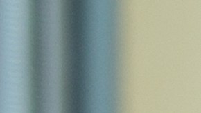 Las mascotas ayudan a edificar la seguridad y estima en los niños.