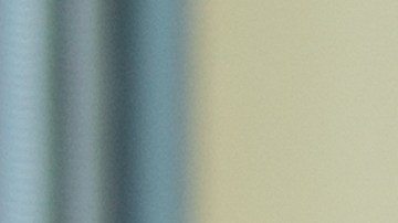 Las mascotas ayudan a edificar la seguridad y estima en los niños.