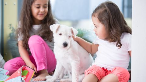 Las mascotas ayudan a edificar la seguridad y estima en los niños.