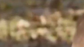 Oliver y y su perro Rubí seguramente son los policías más pequeños de Kansas.