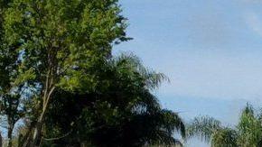 La Policía de Sacramento investiga los hechos.