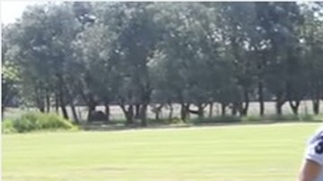 Salvador Condomí Alcorta es un niño de 10 años, invidente y que juega polo.