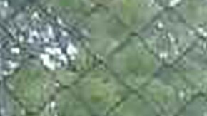 Sara Beltrán Hernández podrá reunirse con su familia en Nueva York.