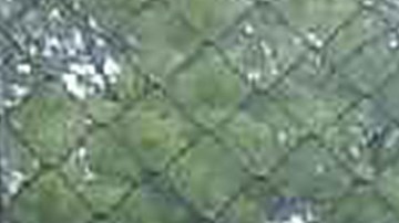 Sara Beltrán Hernández podrá reunirse con su familia en Nueva York.