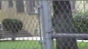 Varias madres se apoyaron a la causa de la maestra del LAUSD.