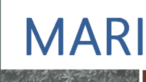 Maricela García fue encontrada muerta en Santa Clarita.