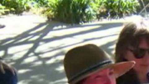 Algunos están de acuerdo con la medida, pero otros temen que no sea suficiente para defender a indocumentados.