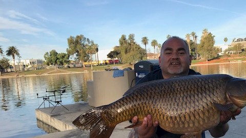 Sergio Talavera, de 45 años, se dedica a la captura y liberación de pescados en parques angelinos.