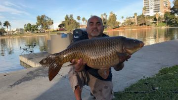 Sergio Talavera, de 45 años, se dedica a la captura y liberación de pescados en parques angelinos.