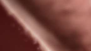 shutterstock_610399121