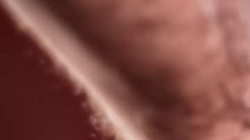 shutterstock_610399121