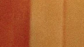 Lady Gaga and Christian Carino