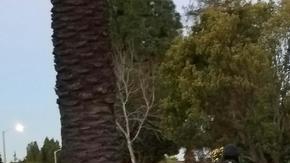 Alrededor de las 6 a.m. se logró arrestar al sospechoso.